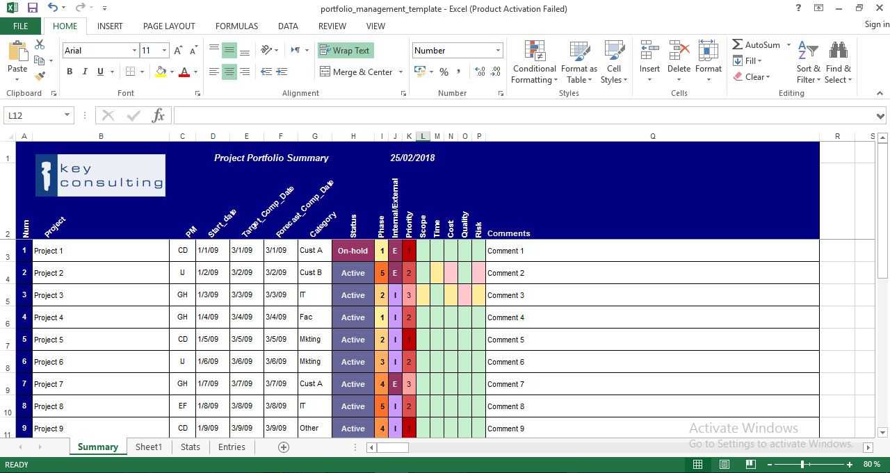 Project Portfolio Management Excel Template - Engineering For Portfolio Management Reporting Templates