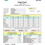 Report Card Format – Dalep.midnightpig.co With Soccer Report Card Template