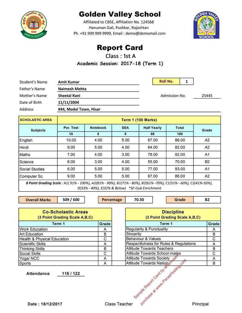 Report Card Format – Dalep.midnightpig.co With Soccer Report Card Template