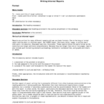 Report Writing Format – 3 Free Templates In Pdf, Word, Excel Within Report Writing Template Download