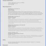 Resume Templates For Ms Word 2010 – Resume Sample : Resume Inside Resume Templates Word 2010