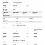 Roof Report Template – Dalep.midnightpig.co Inside Building Defect Report Template