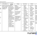 Sample Nursing Care Plan – Dalep.midnightpig.co In Nursing Care Plan Templates Blank