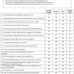 Satisfaction Of Employees In Health Care (Sehc) Survey within Employee Satisfaction Survey Template Word
