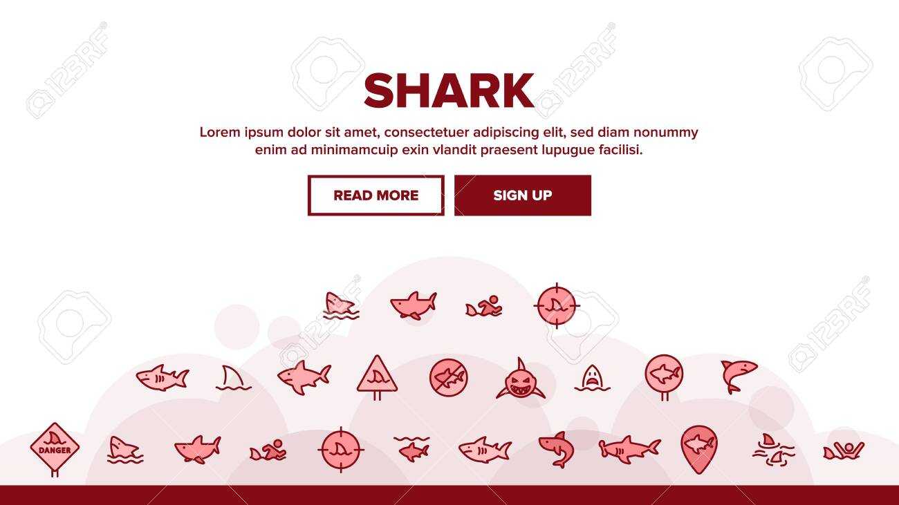 Shark Fish Landing Web Page Header Banner Template Vector. Dangerous.. Intended For Sharkfin Banner Template