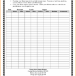 Spreadsheet Diabetes Tracking Blood Glucose Log Book Free Inside Book Report Template In Spanish