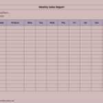 Spreadsheet Report And Weekly S Template Elegant Activity Intended For Daily Sales Report Template Excel Free