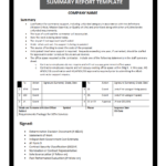 Summary Report Template Throughout Project Analysis Report Template
