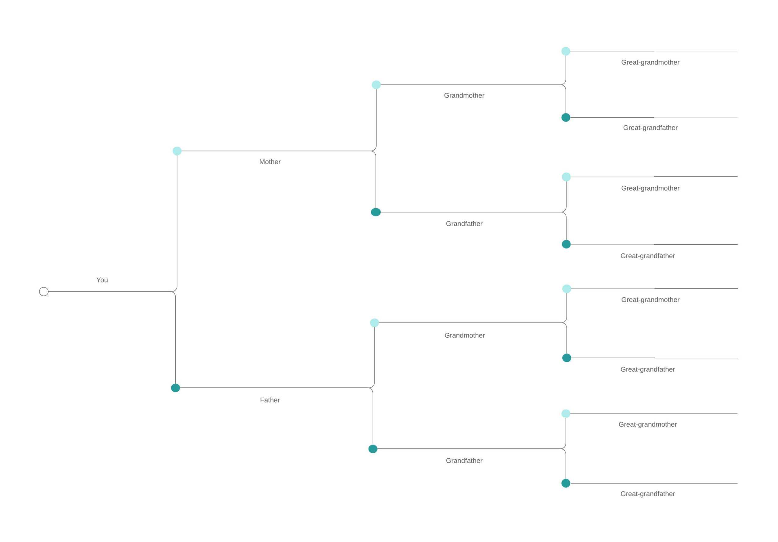 Template Family Tree Chart – Falep.midnightpig.co Throughout Blank Tree Diagram Template