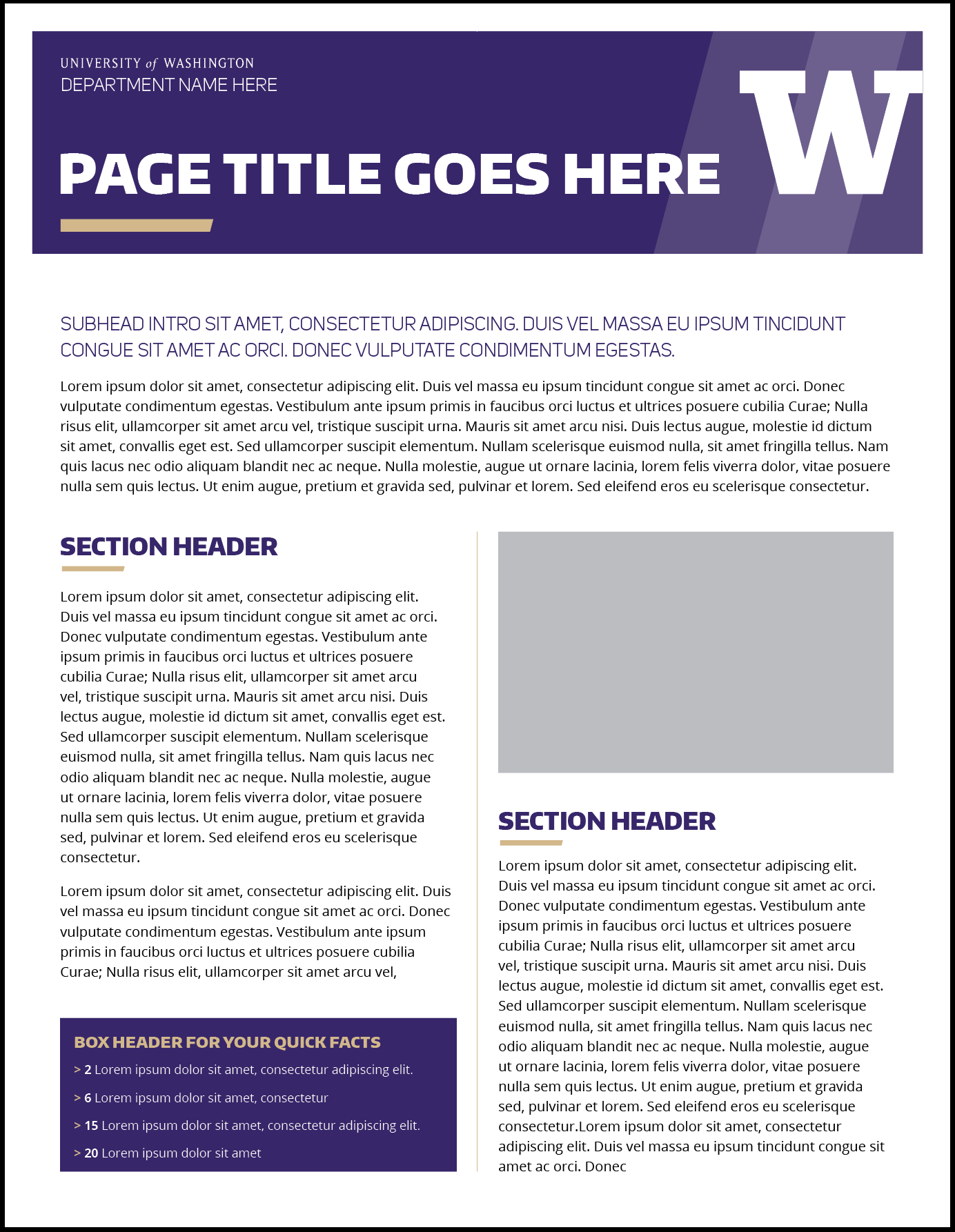 Template For Fact Sheet - Calep.midnightpig.co Pertaining To Fact Sheet Template Microsoft Word