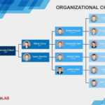 Template Organizational Chart Word – Dalep.midnightpig.co Intended For Company Organogram Template Word