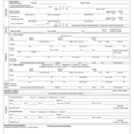 Texas Blue Form – Fill Out And Sign Printable Pdf Template | Signnow Inside Vehicle Accident Report Form Template