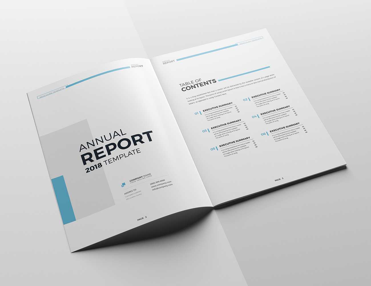 The Blue Annual Report Throughout Summary Annual Report Template
