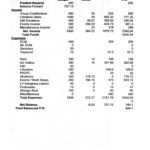 Treasurer Report – Calep.midnightpig.co With Regard To Treasurer Report Template