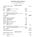 Treasurer Report Format - Calep.midnightpig.co for Non Profit Treasurer Report Template
