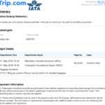 Trip Return Flight Templates (Editable Psd Files In Plane Ticket Template Word