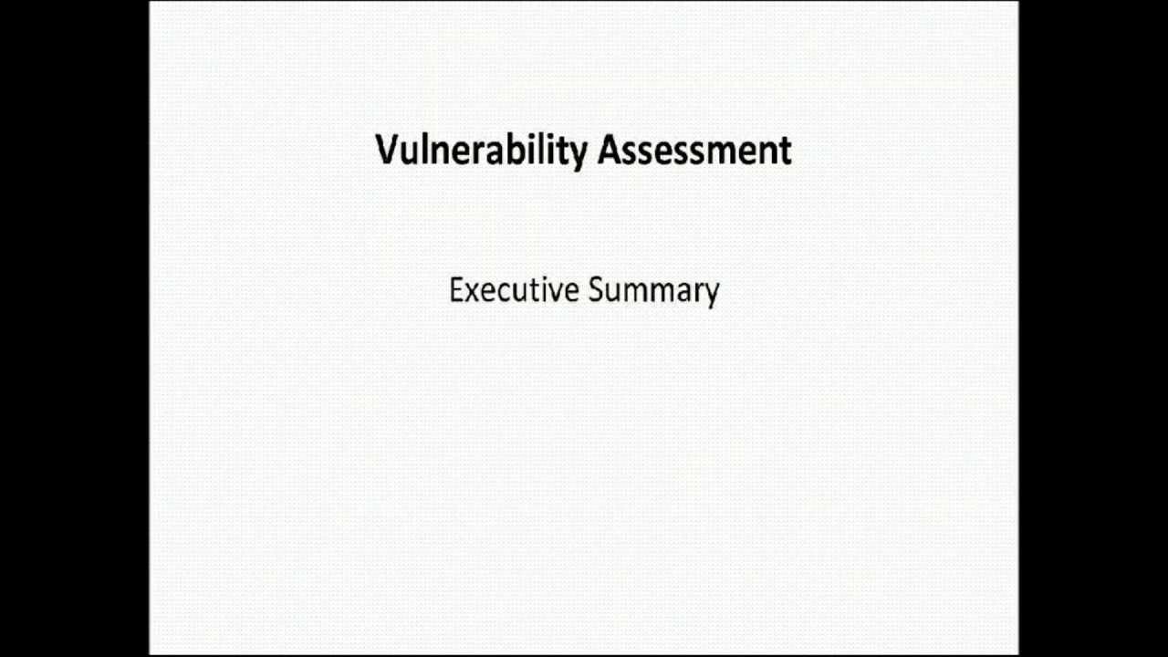 Vulnerability Assessment – Executive Summary Report Template Pertaining To Executive Summary Report Template